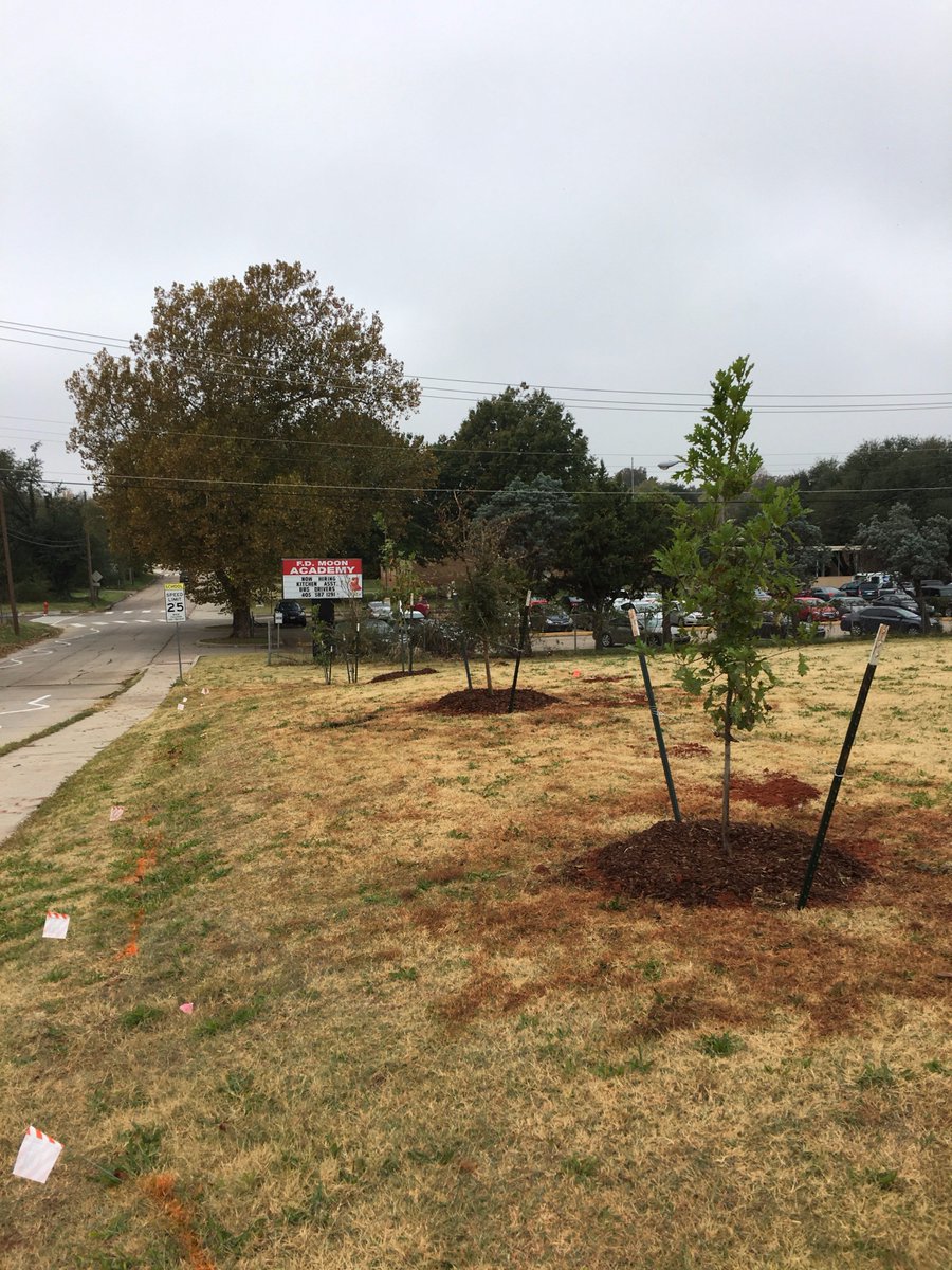 OKC_SNI's tweet photo. That's a wrap for SNI's Fall Tree Planting! 18 beautiful trees line @CEH_OKC &amp; @FDMoonAcademy1  More pics here: https://t.co/fBW8kICRtk https://t.co/UodpcOjjuY