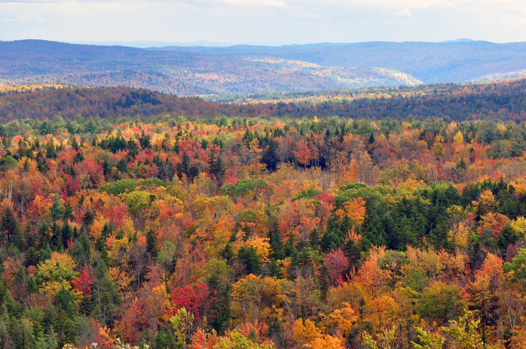 Ultiworld's tweet photo. Vermont Becomes First State To Approve Ultimate As High School Varsity Sport: https://t.co/qSr71Nrfq3 https://t.co/BH23NpxS92