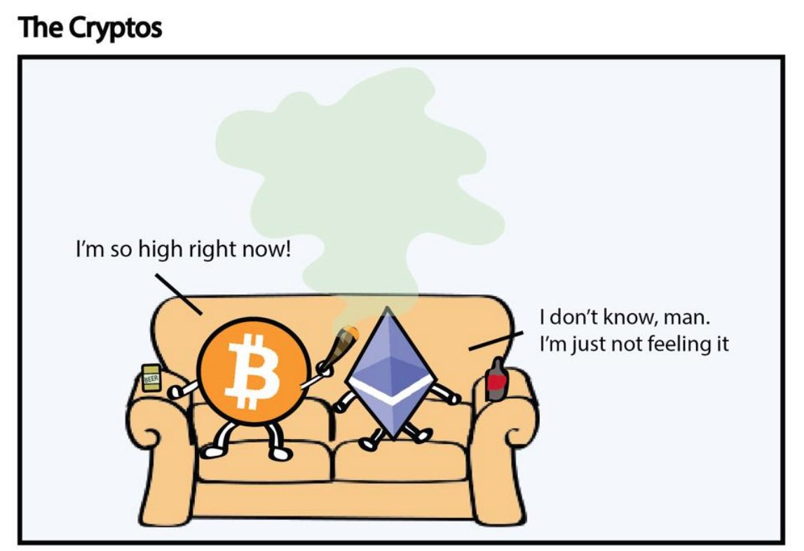 Edwardpumps's tweet photo. #Funtime with $BTC $ETH for the public
& $BNB $WTC for me
Isn't Stevo a director? & insider trading so to speak !
#EdwardsWraith 👻 https://t.co/UXqpnKzCTQ