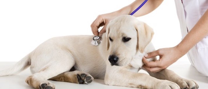 THS Guidance tweet media