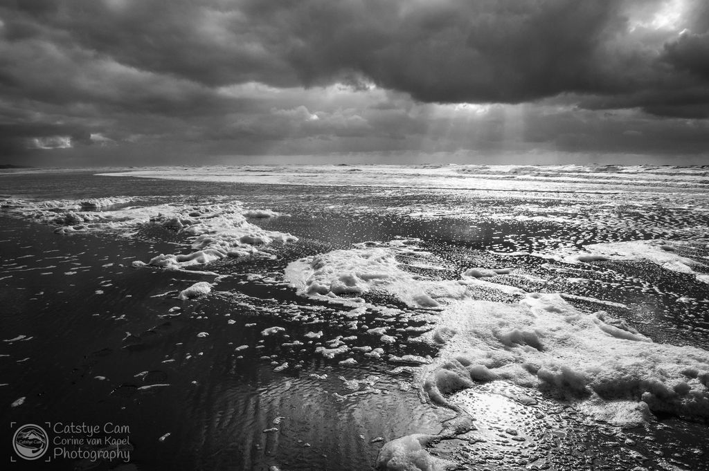 catstyecam's tweet photo. 7 days black and white photos, no people no comment #day4 #zwart-wit #catstyecam #blackandwhite #photography https://t.co/YWtpJGSHlN