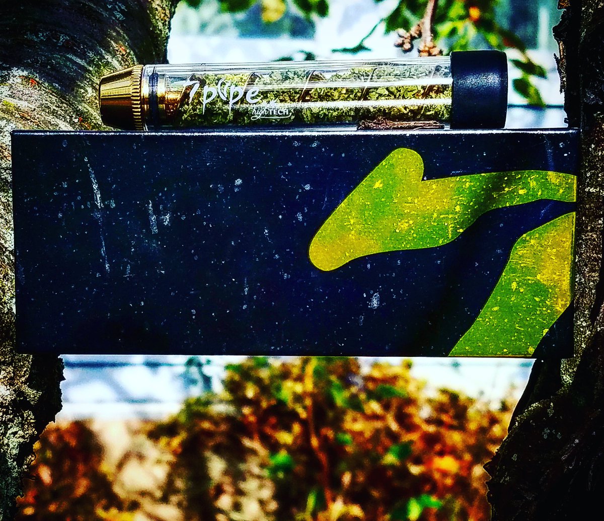 SmokinOG_203's tweet photo. 7pipe Glass Blunt is amazing!👌
#weed #staypositive #behappy #hippie #clouds #positivevibes #rollup #joint #getlifted #ganja #thc #cbd https://t.co/SrgQSHKdDJ
