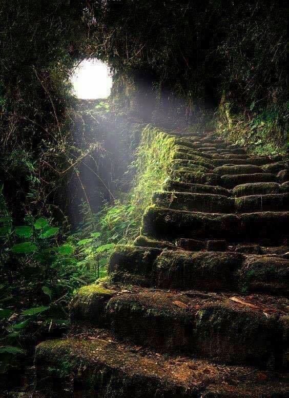 World's tweet photo. Stairway to Heaven - the ancient Inca Trail leading to Machu Picchu in Peru. https://t.co/eEWS6t1XVd