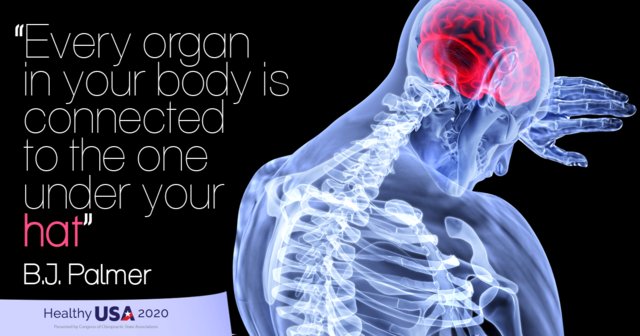 sabelldc's tweet photo. The body heals from the inside out and from the top down. A healthy spine is key to a healthy life. https://t.co/FEEcYrCJng