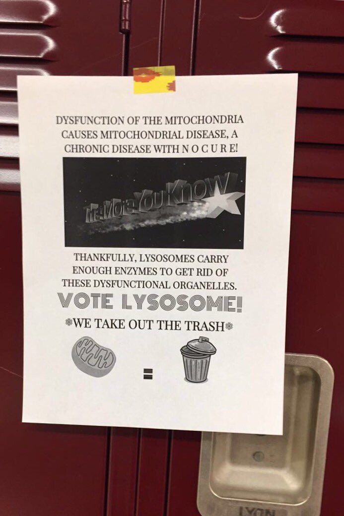 Lysosom_e's tweet photo. Seems like Lysosome is the only way to go #VoteLysosome @mslaflamme https://t.co/TxpRHlpEWR