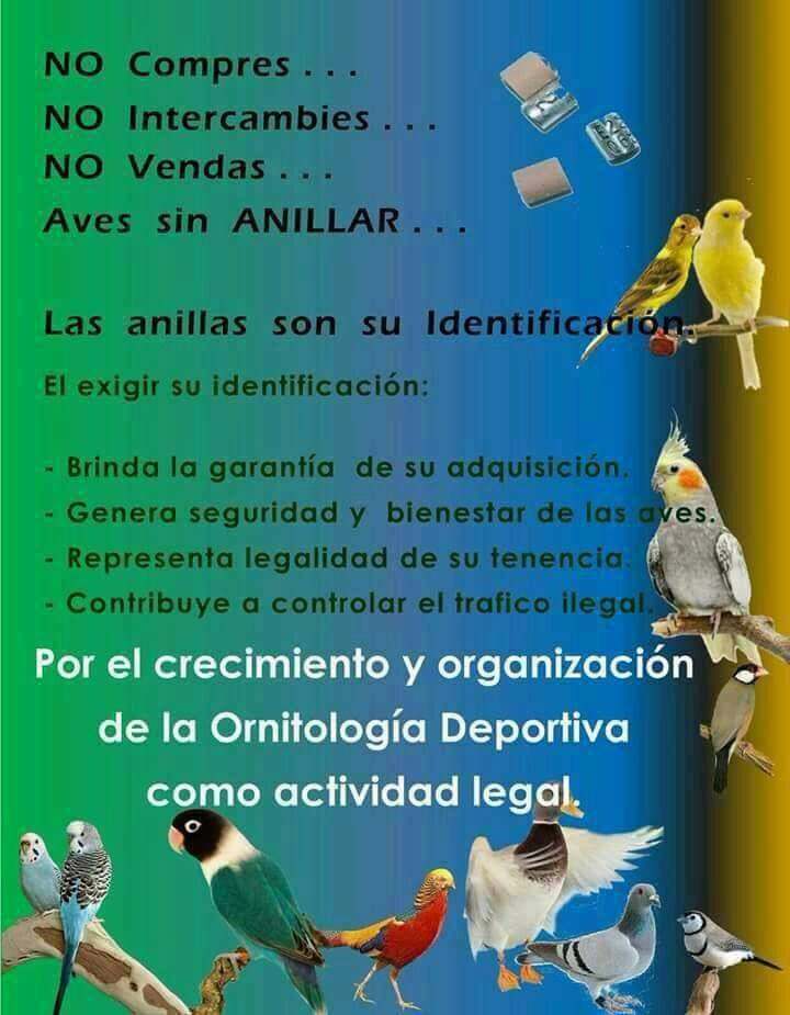ClubCante's tweet photo. #TimbradoEspañol #Colombia2017 #TerritoriosLibresDeAvesSilvestresEnCautiverio @ClubCante #FCTE https://t.co/uTcbsFqJrd