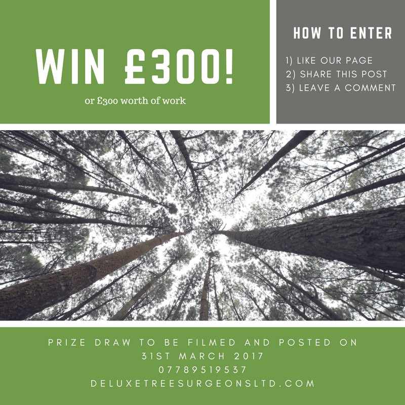 DeluxeTree's tweet image. Our Facebook competition. Go and find us on Facebook to enter! #northeast #northeasthour