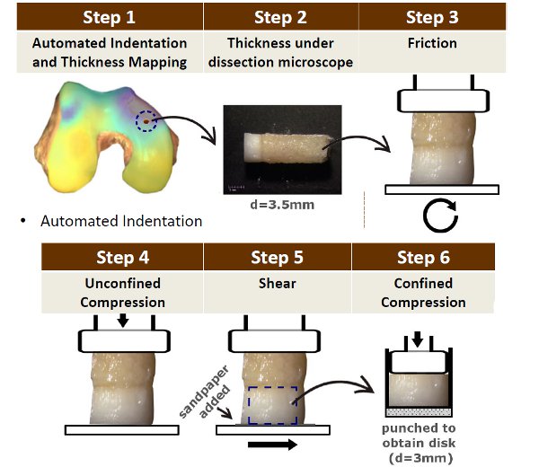Biomomentum's tweet photo. Sequence of #MechanicalTests for #articular #cartilage at a single location: #indentation, #friction, #shear, etc. https://t.co/hYBnwkK3QY https://t.co/IGZVs9vD9W