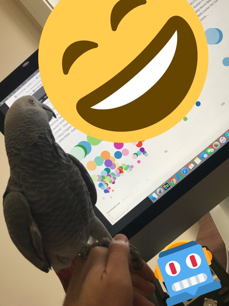 TheLoftat600F's tweet photo. @domotalk our boss is reviewing her charts, thank you!!!! #SmallBusiness https://t.co/GM7XnwmqP2