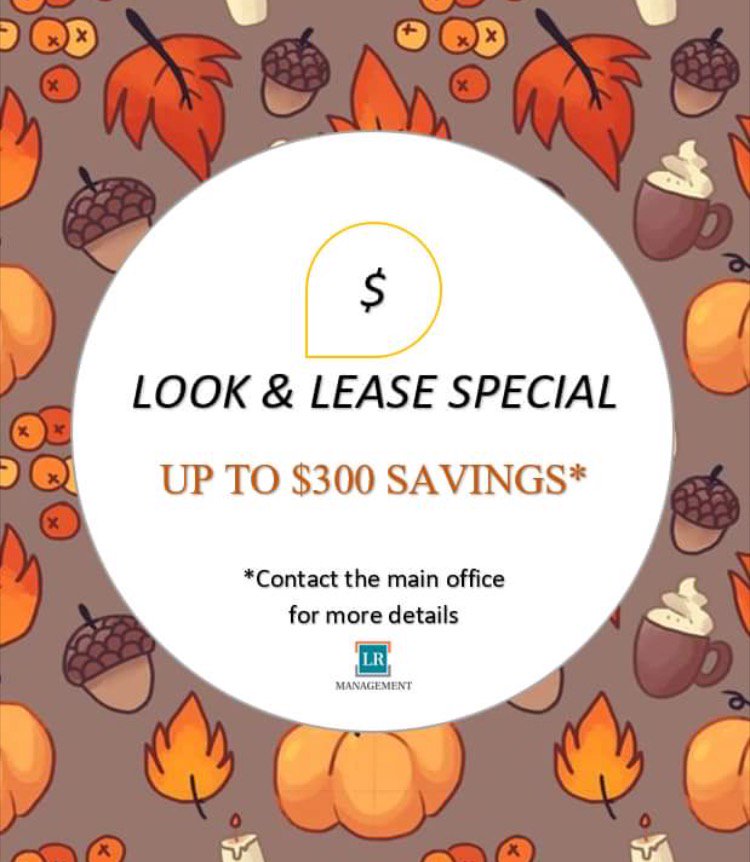 Bainbridge_Park's tweet photo. Call NOW for info on current specials! 734.404.5413 - Save $80 application fee when you apply on 1st visit.  https://t.co/2UIhDKxj4h *cond. https://t.co/mARZTlfZ7M