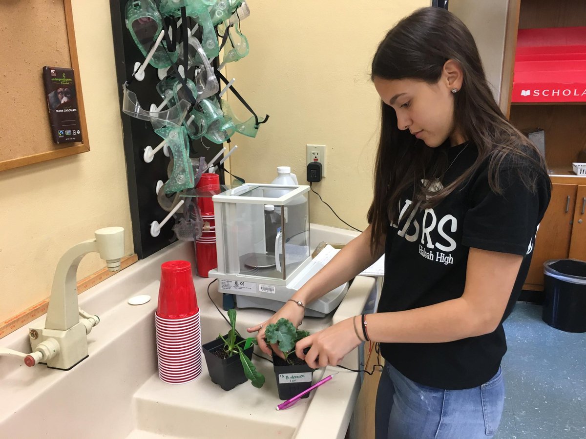 MyAPEScare's tweet photo. @GrowBeyondEarth #NASA #hialeahhigh Yesterday we collected data of 4 prospective NASA plants. Most mass produced by Chinese Cabbage! https://t.co/d6JSHCaYq5