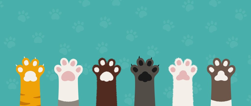 AtlanticTeen's tweet photo. Intern Fiona Schneider divulges a healthy cat recipe to make for your feline friend(s). https://t.co/SGfEGiKeVa https://t.co/aIiQEsQHk4