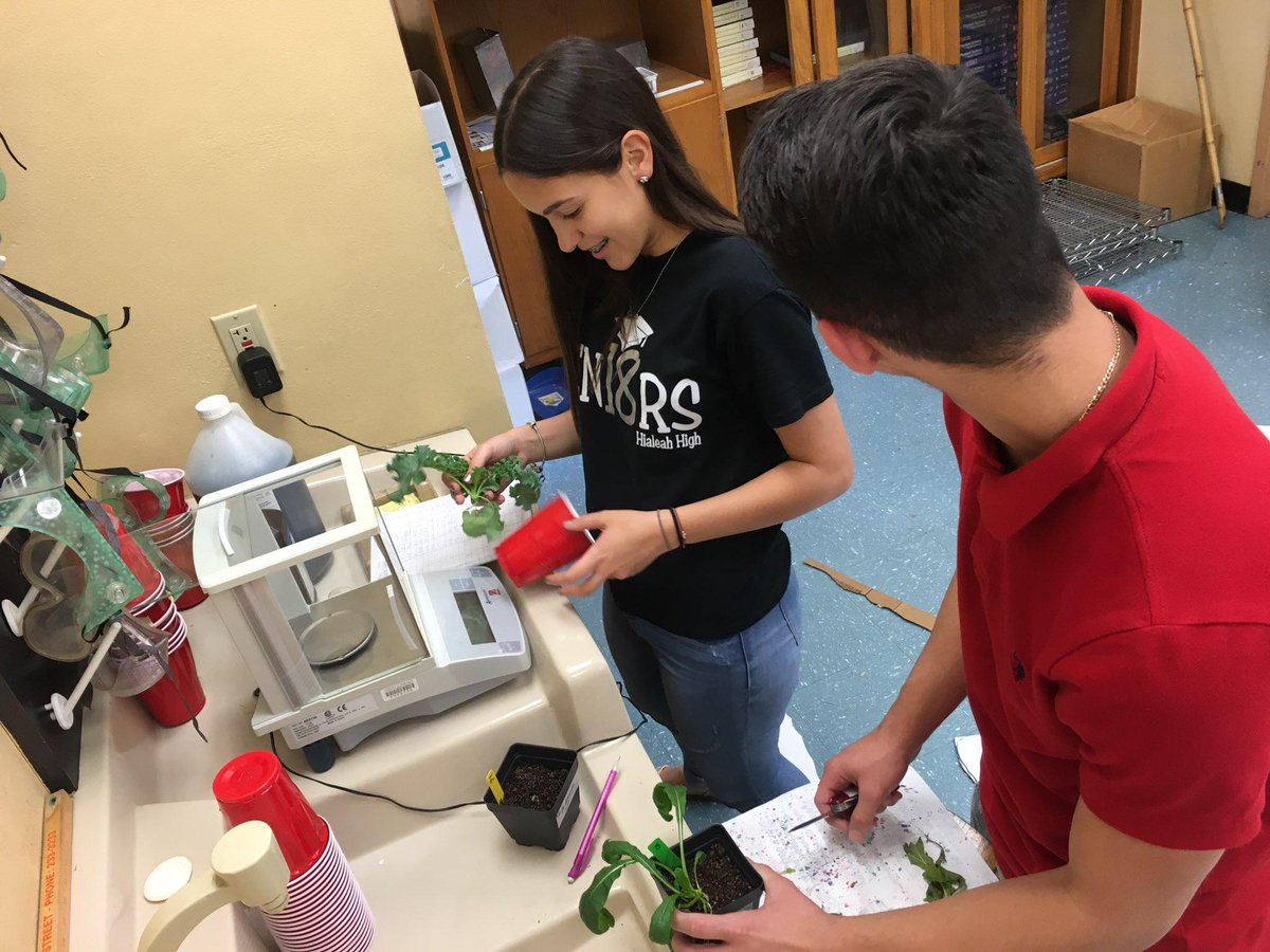 MyAPEScare's tweet photo. @GrowBeyondEarth #NASA #hialeahhigh Yesterday we collected data of 4 prospective NASA plants. Most mass produced by Chinese Cabbage! https://t.co/d6JSHCaYq5