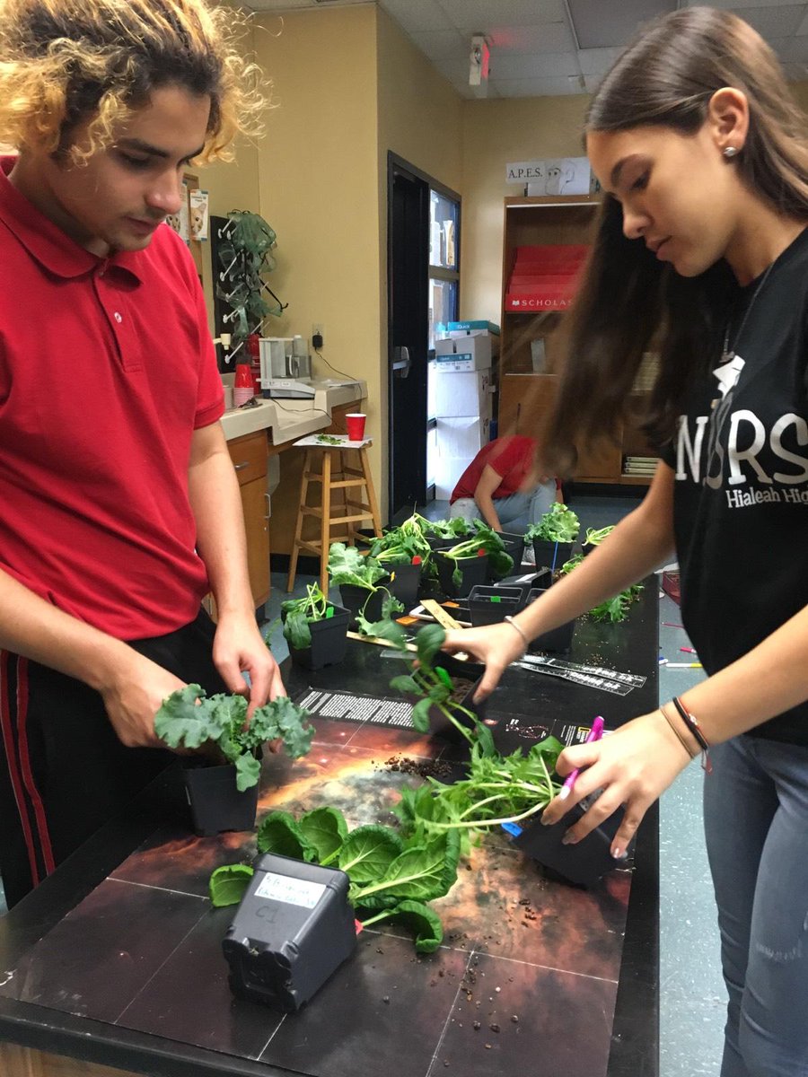 MyAPEScare's tweet photo. @GrowBeyondEarth #NASA #hialeahhigh Yesterday we collected data of 4 prospective NASA plants. Most mass produced by Chinese Cabbage! https://t.co/d6JSHCaYq5