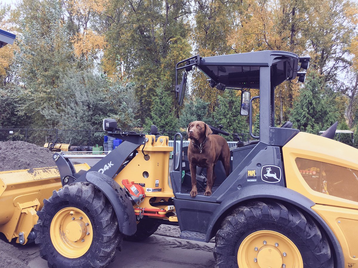 I may have overreacted to the snow sighting this morning #SnowTractor #IllDrive #SnowInSeattle <a href="/Seahawks/">Seattle Seahawks</a>
