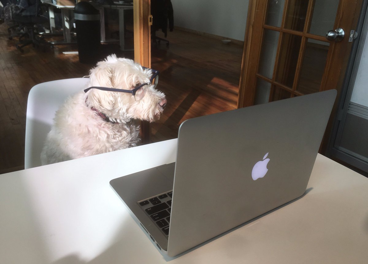 Our Employee of the Week leading a great team meeting at CineSend! #DogDayAfternoon