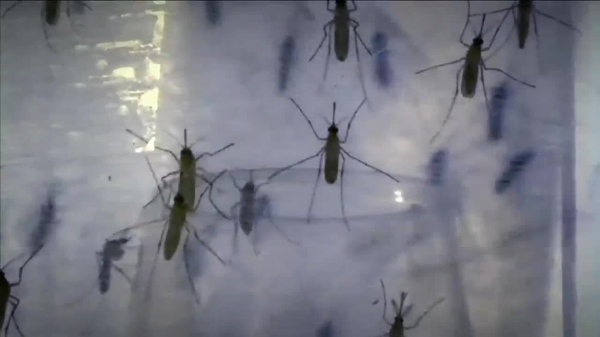 #BREAKING First sexually-transmitted case of Zika reported in Miami-Dade County in 2017 bit.ly/2ze162B?utm_so… https://t.co/ucbGbRpnXq