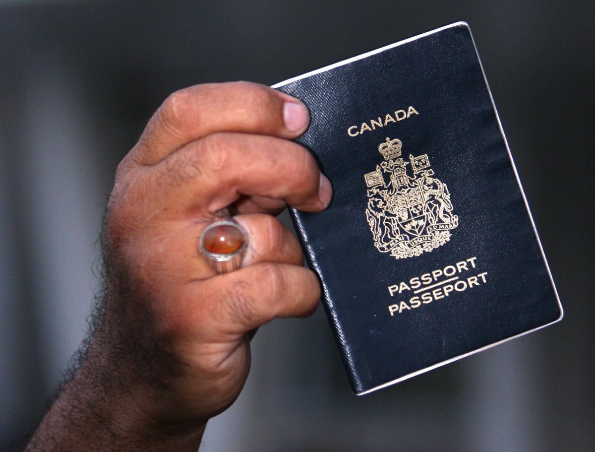 Гражданство вануату для россиян. Lebanese Passport. Dominican Republic Passport.
