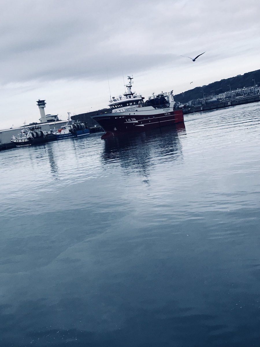 NicoUnipeche's tweet photo. #Henk #Senior #Osprey #Urk #Boulogne-Sur-Mer https://t.co/lSWovnJn1U
