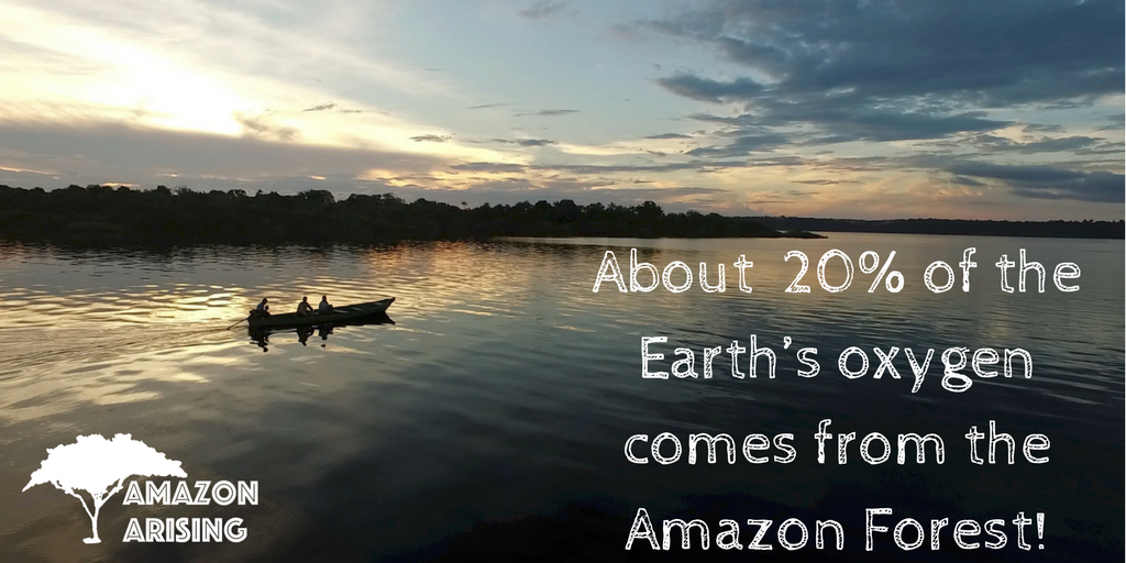 AmazonJungleJen's tweet photo. Breathe a deep breath!
#FactualFriday #AmazonForest #AmazonArising https://t.co/KxlUf23qlY