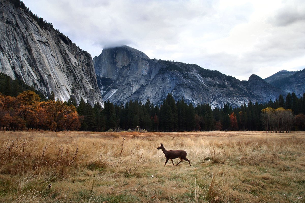 The air is crisp, the clouds are heavy. The Valley seems to inhale and hold its breath for a moment before a much anticipated autumn storm.