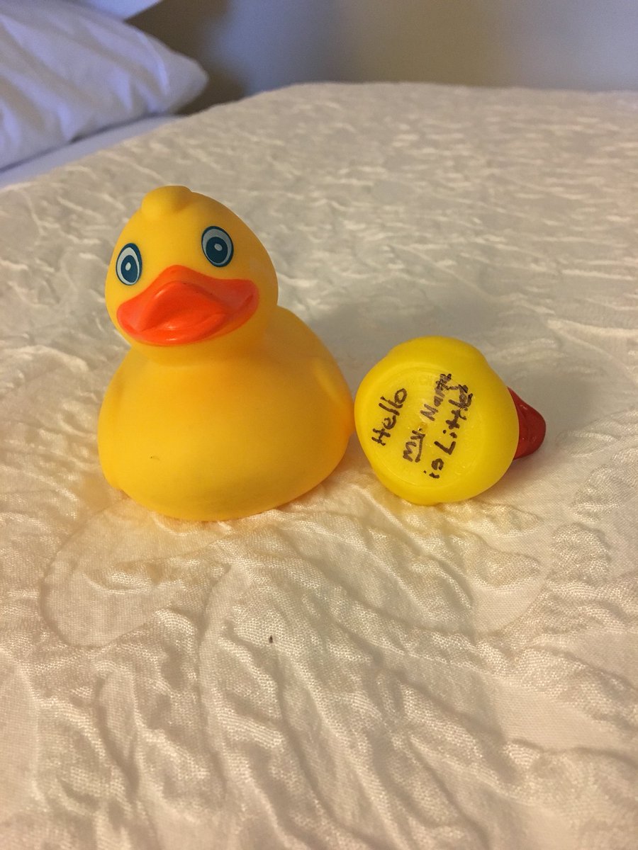 jazz_spazzz's tweet photo. Day 1) My nickname is little’s, I am shook. Day 2) ANOTHER showed up!! Someone is paying the hotel staff 😂😒 #SSUXC #Regionals #duckingcrazy https://t.co/CtJxZPA3zC