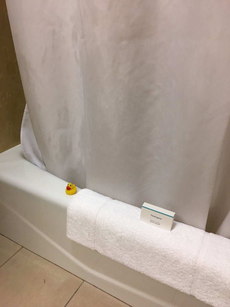 jazz_spazzz's tweet photo. Day 1) My nickname is little’s, I am shook. Day 2) ANOTHER showed up!! Someone is paying the hotel staff 😂😒 #SSUXC #Regionals #duckingcrazy https://t.co/CtJxZPA3zC