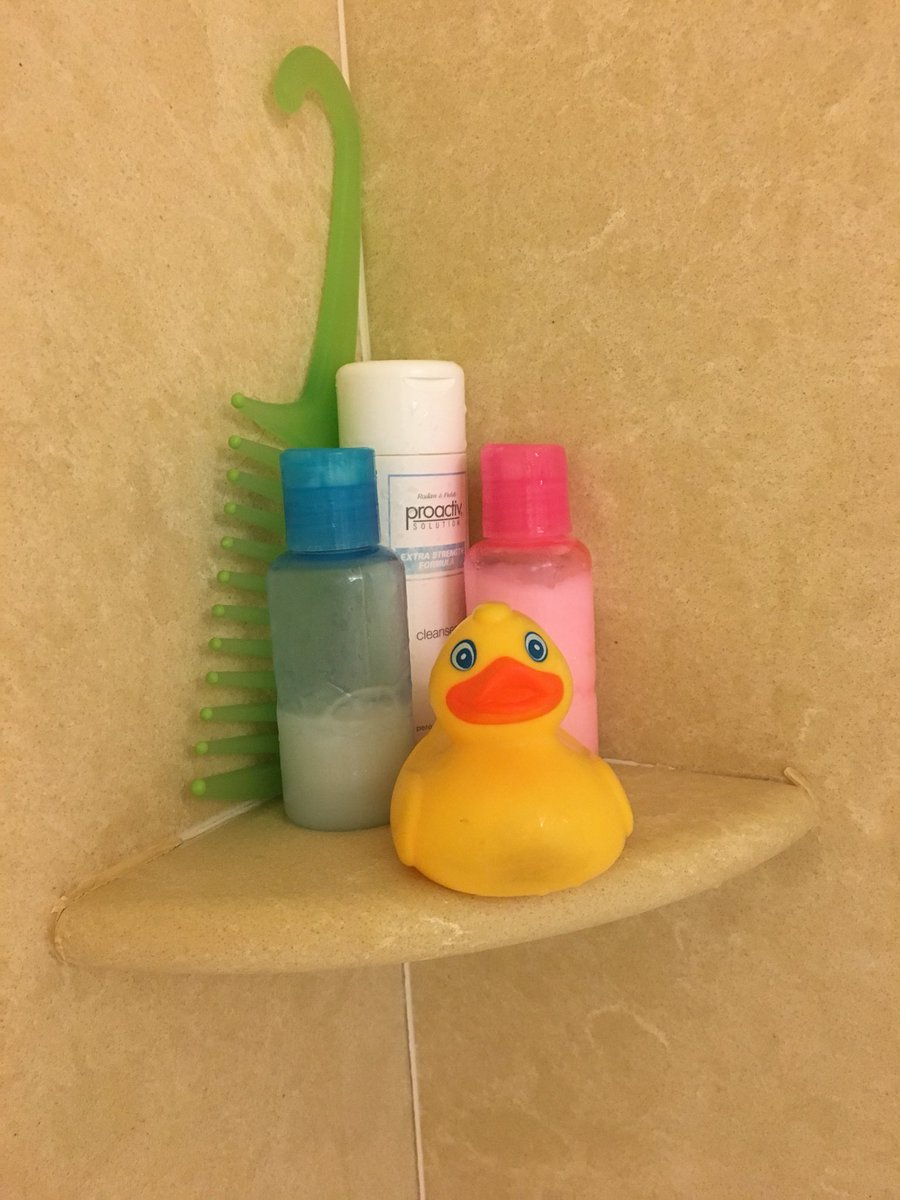 jazz_spazzz's tweet photo. Day 1) My nickname is little’s, I am shook. Day 2) ANOTHER showed up!! Someone is paying the hotel staff 😂😒 #SSUXC #Regionals #duckingcrazy https://t.co/CtJxZPA3zC