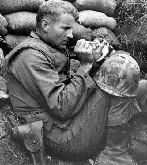 İnsanın gavuru, müslümanı olmuyor arkadaş.... 
İnsanın insanı, insan oluyor..!

.
(DERSIM HALK DEYIMI)