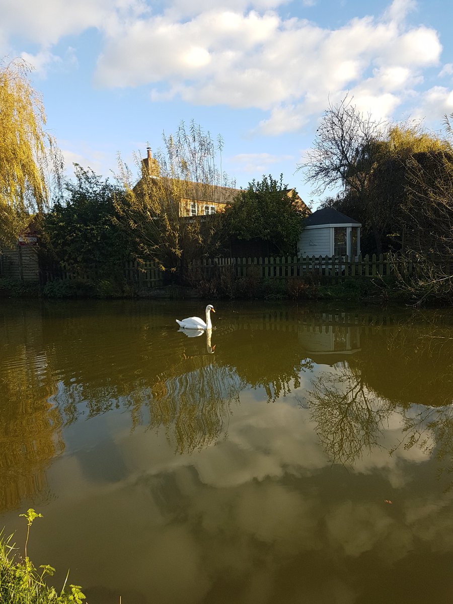 Canal fishing this weekend, what about you ?