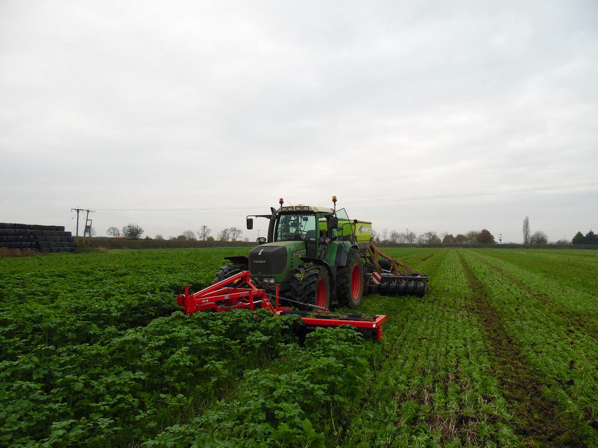 rac_contractors's tweet photo. Direct drilling beans into catch crop, @OPICOLtd @Heva_UK crimp roller &amp; @SkyAgriculture Easydrill. 2 different catch crop mixes. https://t.co/MOvXlTGQnT