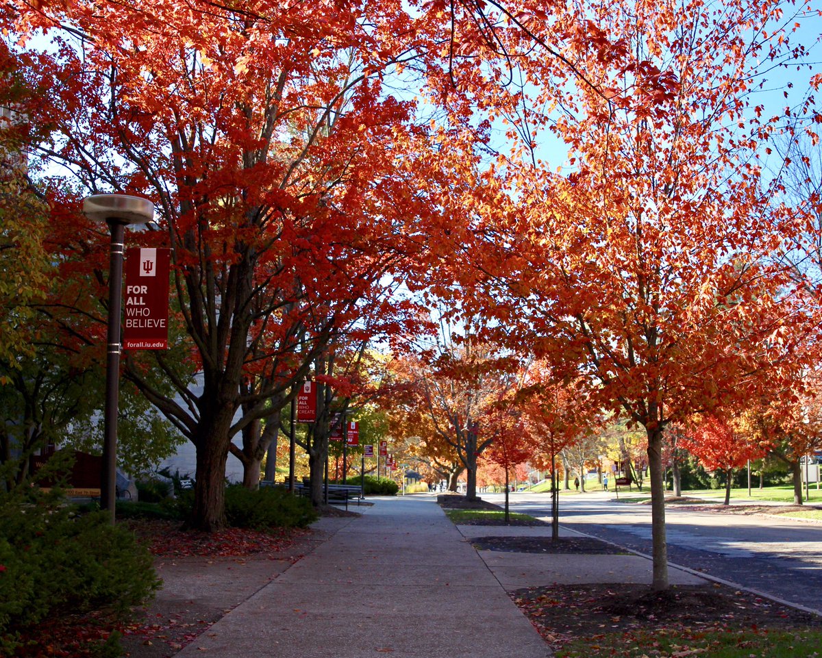 IUBloomington's tweet photo. Thankfully, it's not too late to enjoy a perfect fall day! Looking forward to cheering on the #Hoosiers this weekend! #FridayFeeling #GoIU https://t.co/gHgncZ4PIh
