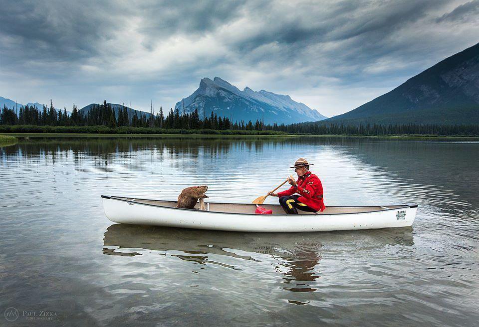 Canada's tweet image. A Canadian Mountie paddling a canoe in the company of a beaver. Picture perfect, eh? #ClichéDay #sorrynotsorry 📷@PaulZizkaPhoto