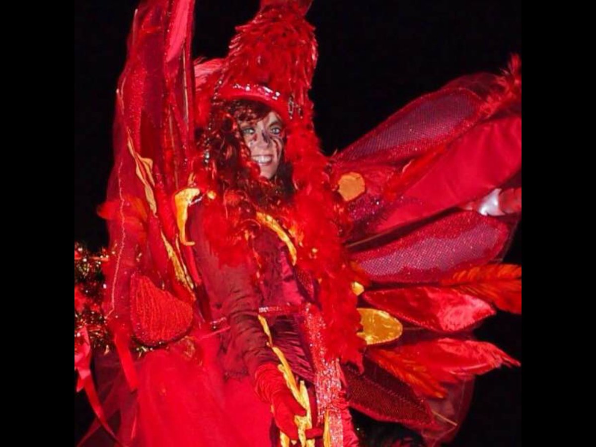 stiltwalking's tweet photo. Our firebirds will be out tomorrow night. Enjoy the fireworks #fireworks #atherington #Devon https://t.co/6VOcQoJsMh
