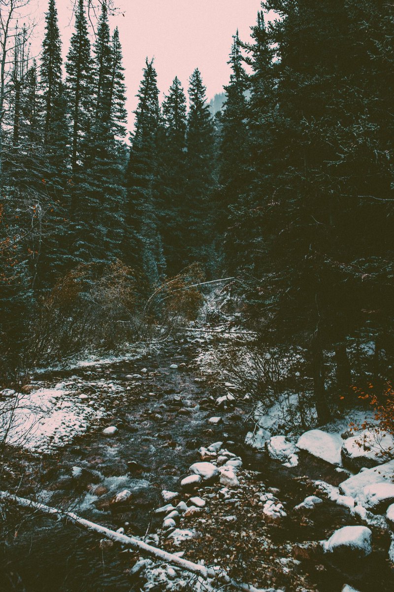 Mazalthan's tweet photo. In anticipation of Winter coming, I captured some forest scenes heavily inspired by the stunning landscapes in Game of Thrones. https://t.co/n6hQUvfIjN