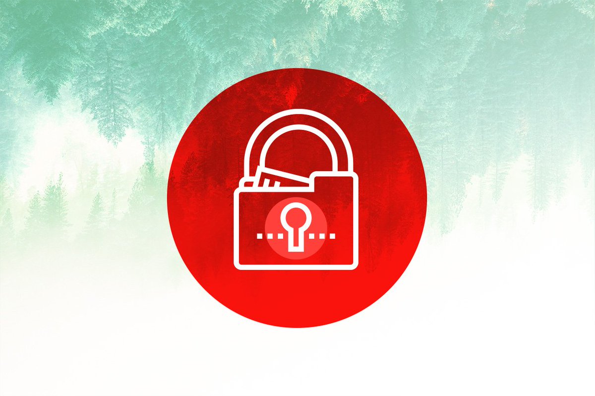 Tim Hamilton tweet media