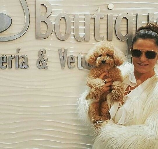 yourpetboutique's tweet photo. Elllos con fían a sus mimados a #YourPetBoutique 💟💟💟 https://t.co/1wWJFhitvw