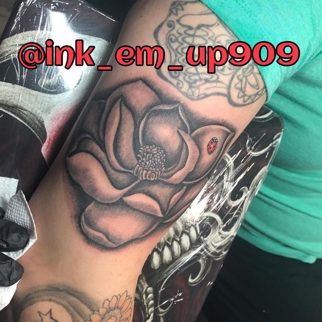 LBITattoo's tweet photo. A gorgeous flower by big Mike! 🌺🌸🐞
@ink_em_up909
#bigmike #flowertattoo #armtattoo #flower #ladybug #ladybugtattoo #blackandgrey #blackand… https://t.co/aij0VboHWO