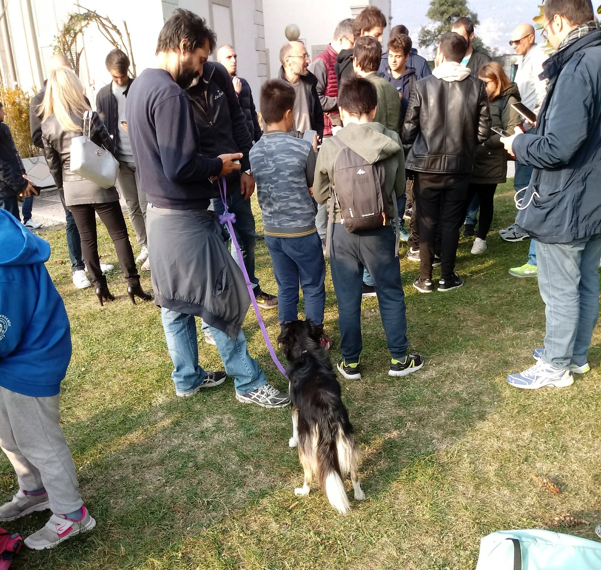 Crociato93's tweet photo. @NianticHelp  @trnrtips  we organized a meeting in Como to try to get an Ex raid pass. We were 40 people and we did not get any tickets.. https://t.co/XEzsiwqV56
