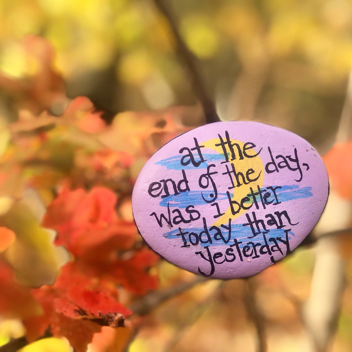 theKindnessrock's tweet photo. At the end of the day...
#thekindnessrocksproject https://t.co/zRFClBQXqq