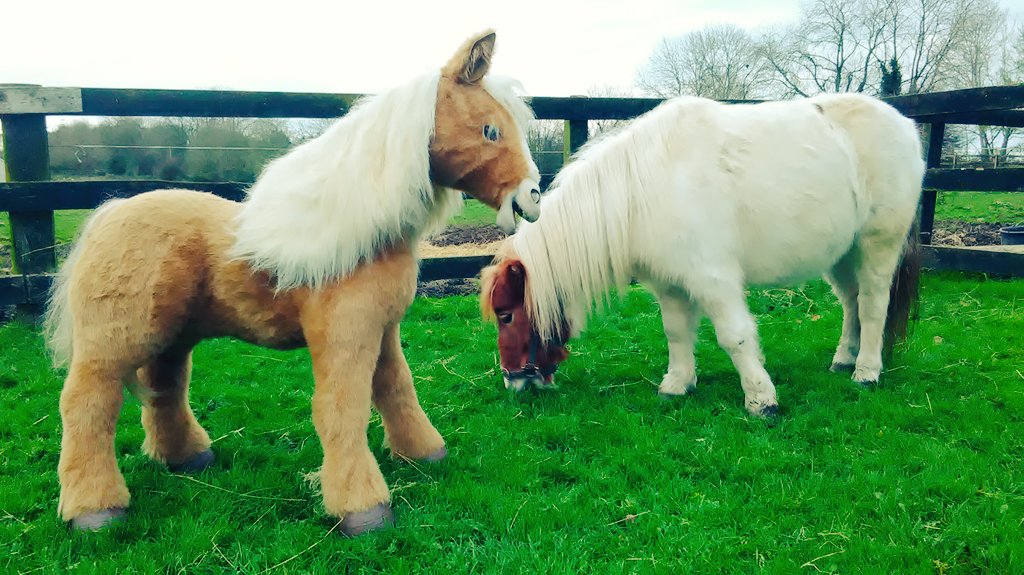 desertdove7's tweet photo. @stylereins @247equestrian #TamaraofTinseltown 🐴 Meets #Butterscotch The #ToyPony #Stylereinsmagazine #247equestrian https://t.co/nzqwCugNGu