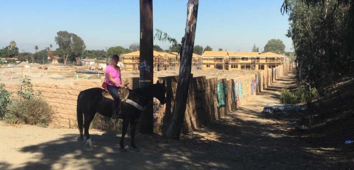 hetascorg's tweet image. Former Boy Scout Camp now turned into Graffiti Wall.