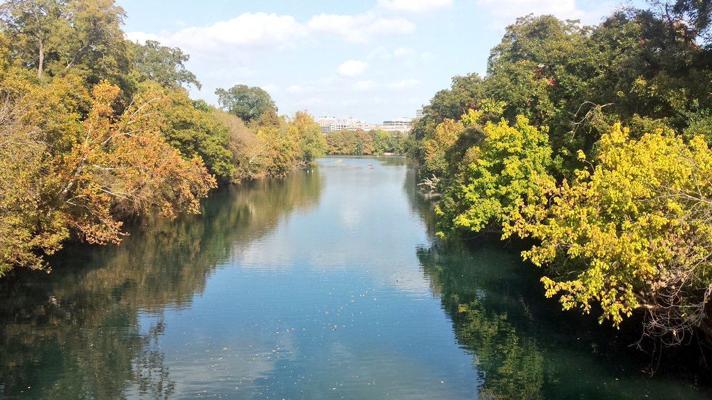 elywithmachine's tweet photo. after yesterday's ~7-mi. 🐇 run #chasingrabbits, today's 10.1-mile #longloop at Town Lake was 🐌 sluggish (especially in over-mileage NBs). 🏃 https://t.co/OrLx9xNlN2