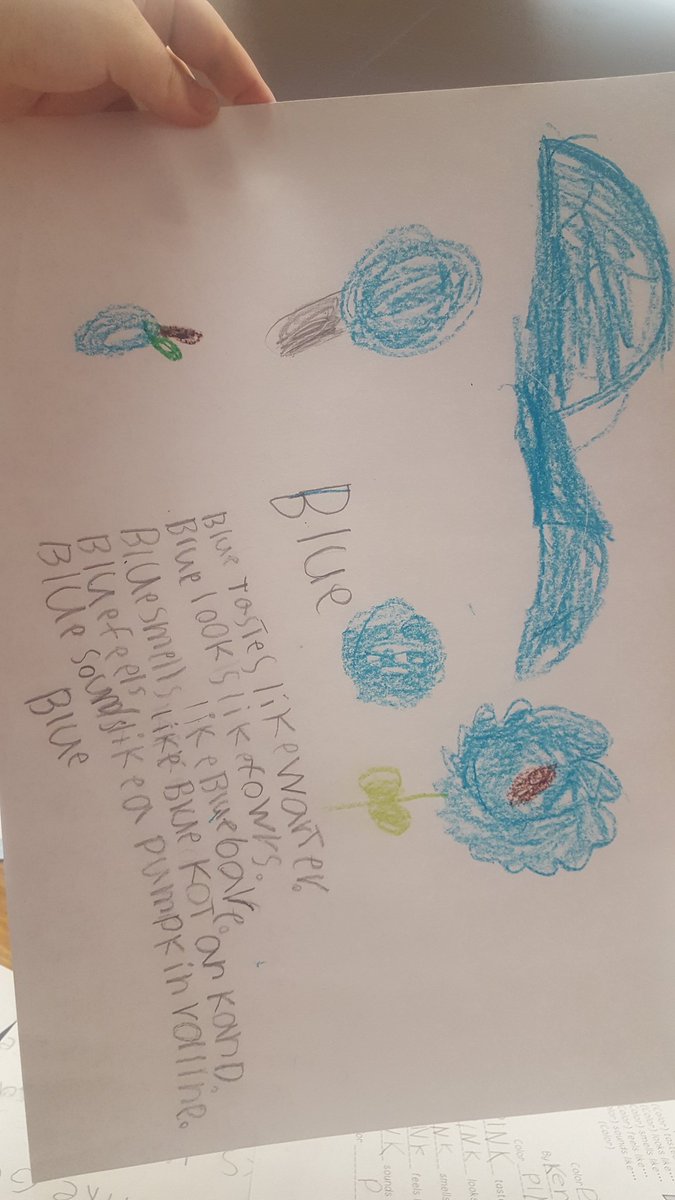 This week we worked on creating color poems using our five senses. They worked hard on them!! #wilmeth #mymisd
