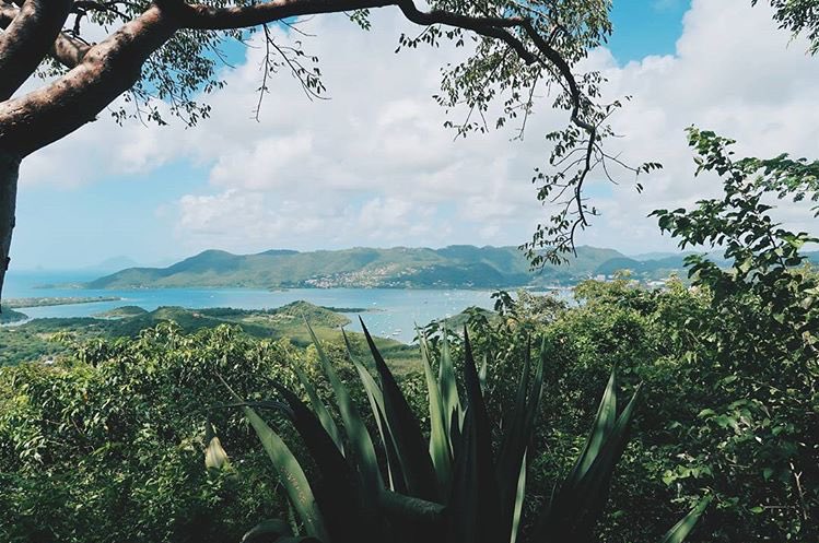 IG_MARTINIQUE's tweet photo. [ #BlogWeLike ] •  Decouvrez avec Audrey B. le Piton Crève Cœur, un ancien volcan de 200 m de haut ... https://t.co/zIl3drvra6 • #Martinique https://t.co/cMlBxFEHuT