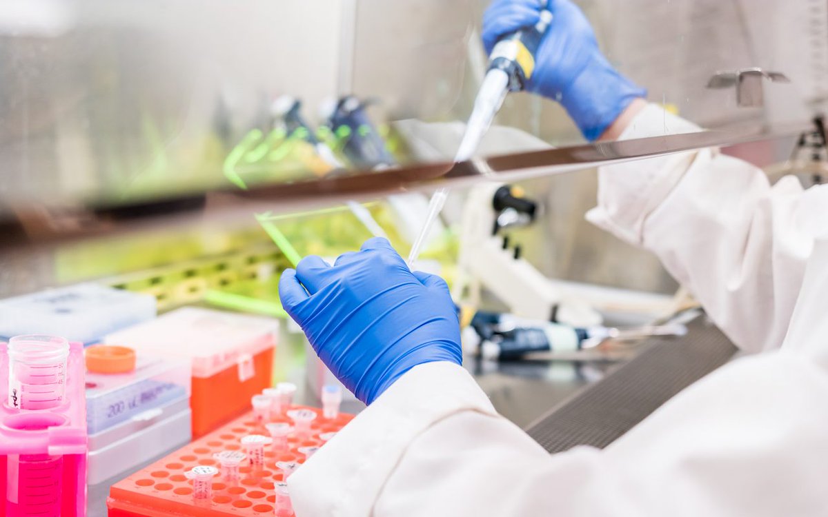 steephill_ak's tweet photo. Washington is addressing the inflated potency issue with round-robin testing among their in-state labs. https://t.co/SCCrUZf77T https://t.co/pQPnDKYrE9