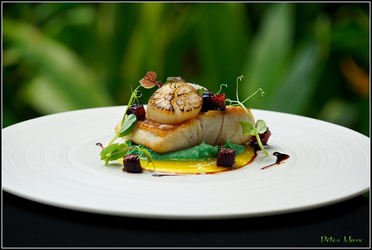 TheBestChefApp's tweet photo. #Trout / #Scallops
By Chef Petermarx
https://t.co/p28F9isWL8
#Chef #BestChef #TheBestChef #PeterMarx
#ChefNetwork #BestChefNetwork https://t.co/VlvDOIE5AO