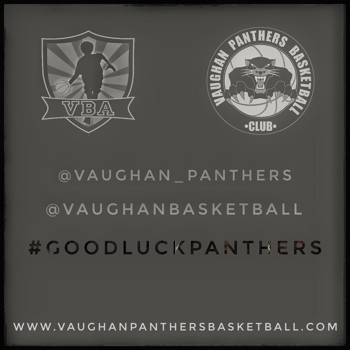 Vaughan Basketball tweet media