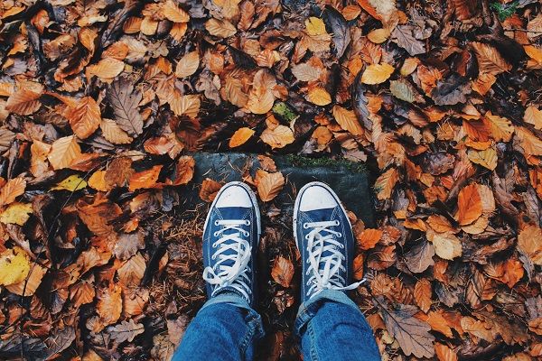 FSAstore's tweet photo. Contending with #fallallergies? Use your #flexdollars on FSA-eligible products to keep your symptoms under control.

https://t.co/IGAdUvNRar https://t.co/eiz4qDpG9M