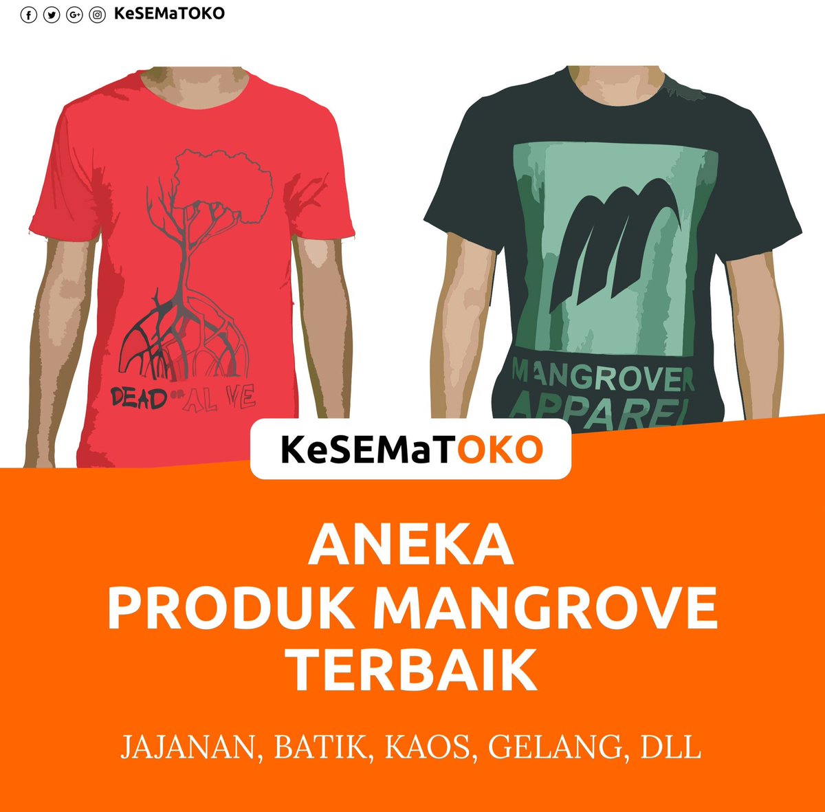 KeSEMaTOKO, Aneka Produk Mangrove Terbaik